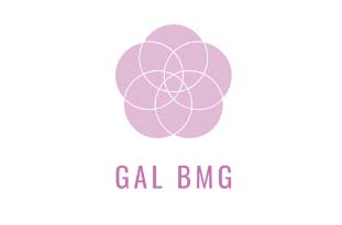 Logo GAL